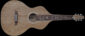 #102 Weissenborn gitaar, gemaakt van Nederlands eiken, vooraanzicht