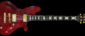 Fern's Guitars Custom elektrische gitaar, Orville Breeveld signature model.