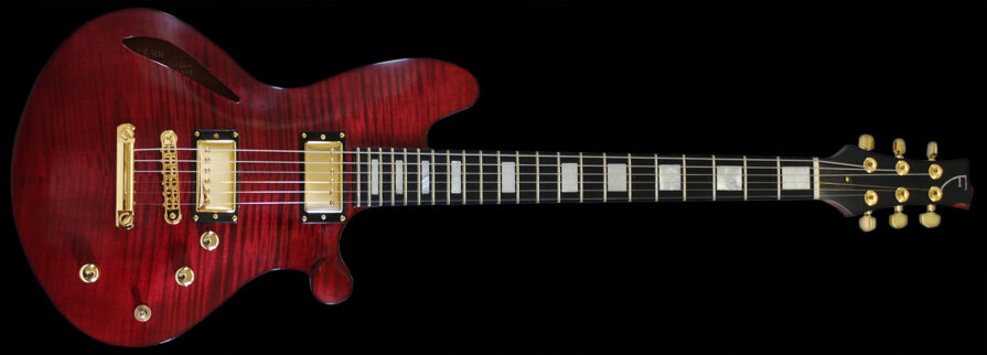 Fern's Guitars Custom electric guitar, Orville Breeveld signature model.