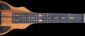 Fern's Guitars Slide King elektrische lapsteel gitaar, vooraanzicht.
