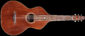 Fern's Guitars Weissenborn Style 3 akoestische lapsteel gitaar, in vooraanzicht.